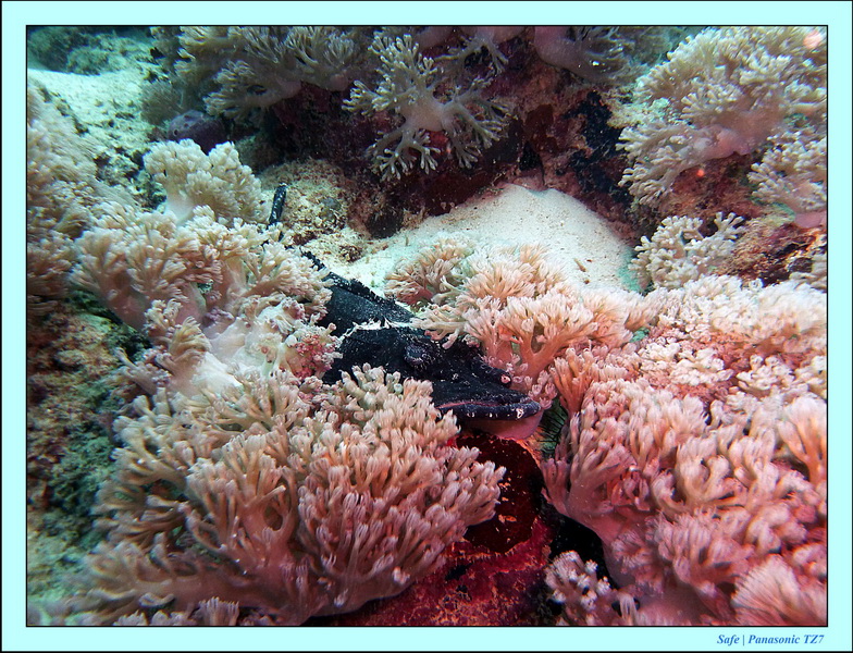 2011 - 08 - Borneo - Mantabuan 07